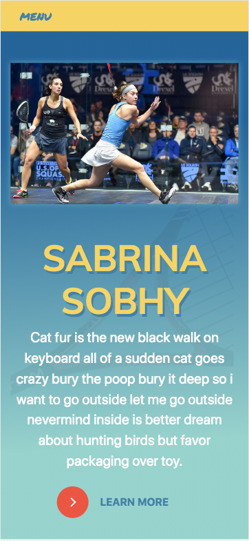Sabrina Sobhy Website Design